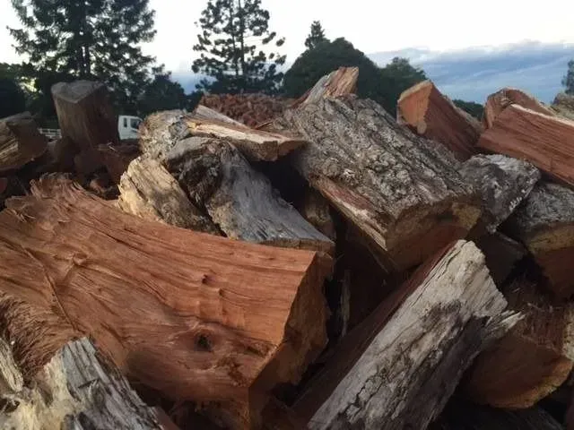 Pile of Split Firewood Logs; Varied Colors, Outdoor Setting — Brown's Professional Tree Service in Widgee, QLD