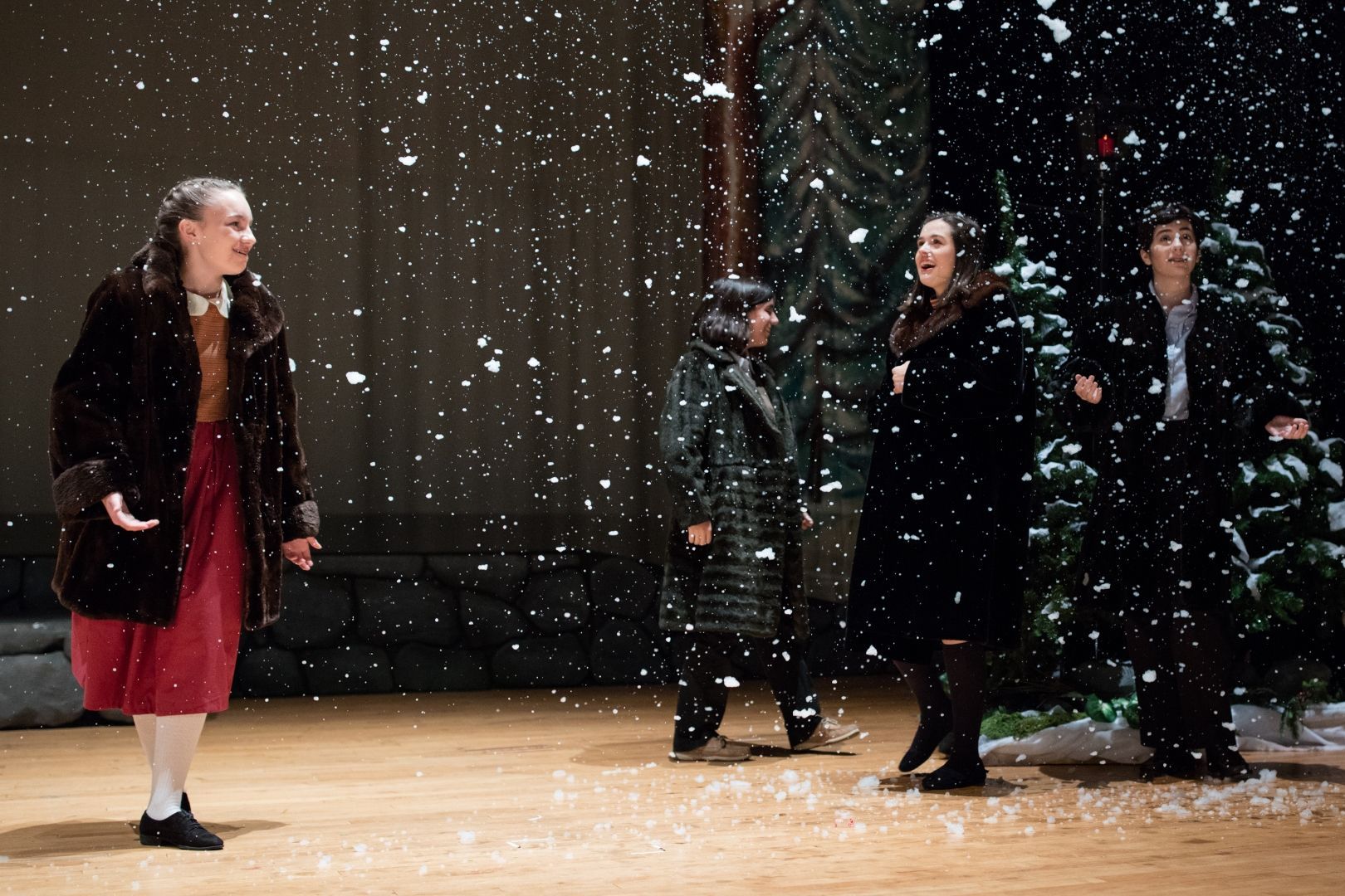 a woman in a fur coat is standing in the snow