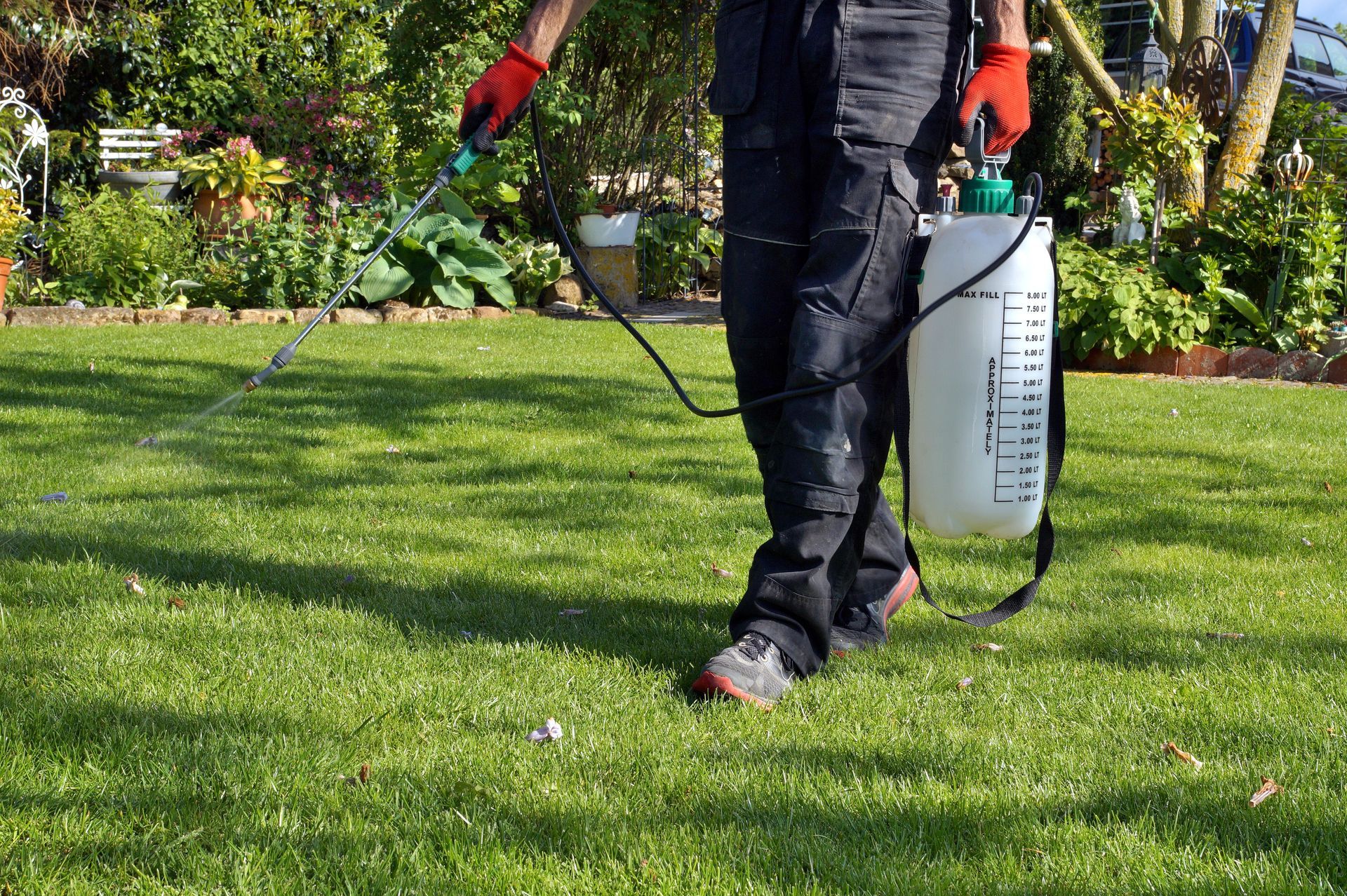 Worker spraying a lawn with a backpack sprayer in a green garden