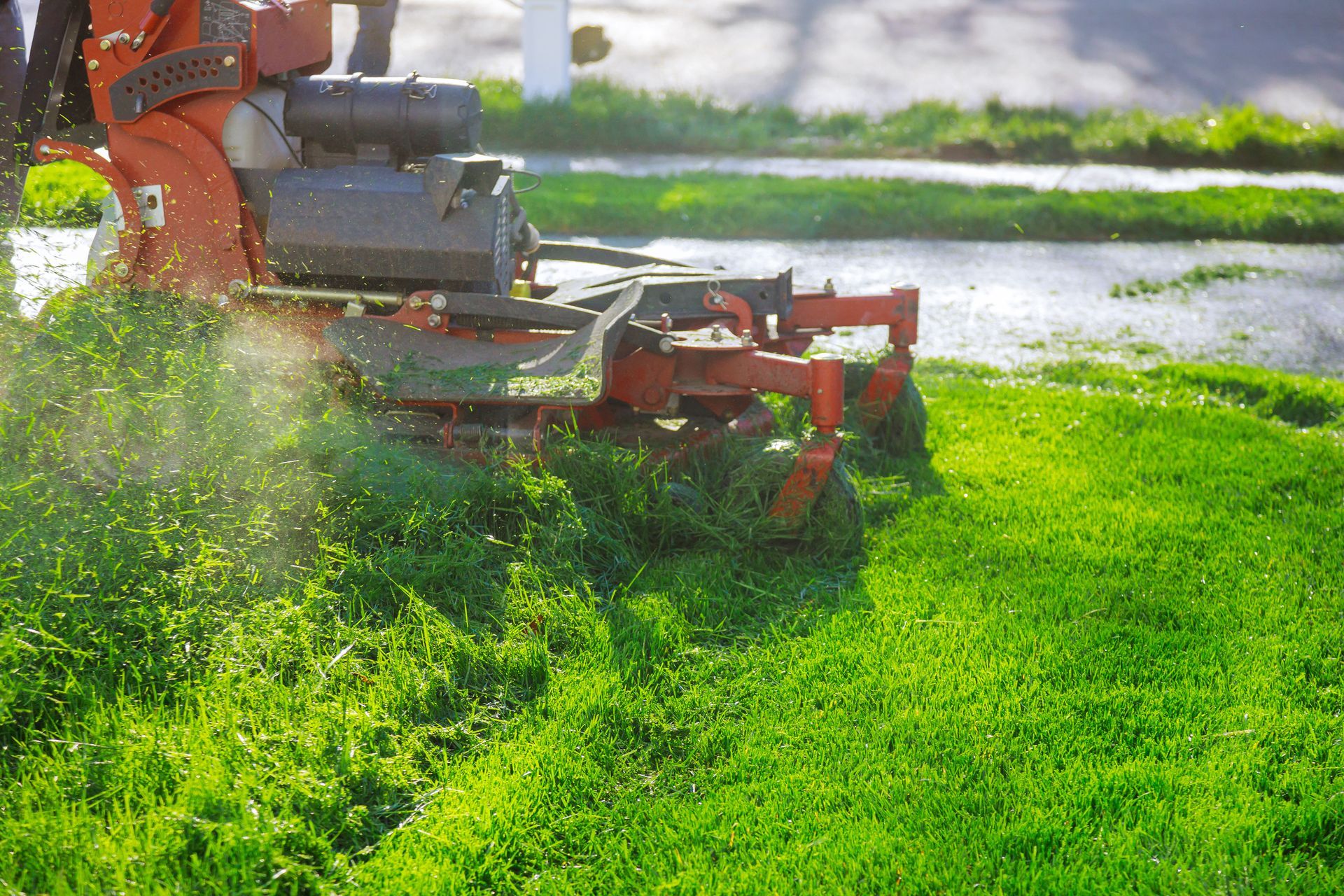 Lawn mower cutting bright green grass, with clippings spraying in the sun.