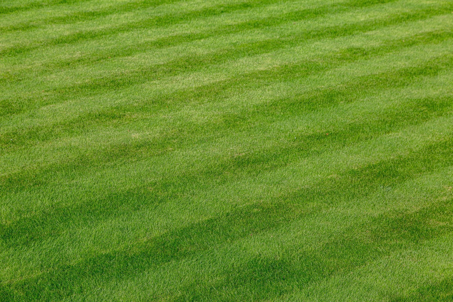Green grass field with diagonal mowing stripes