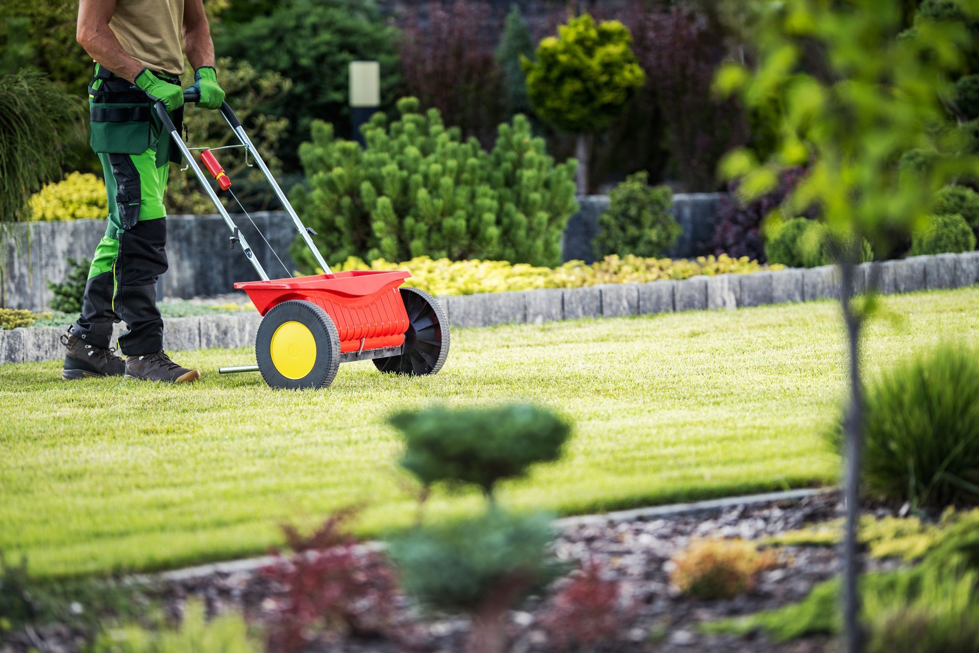 Person mowing a lawn with a red push mower in a landscaped garden.