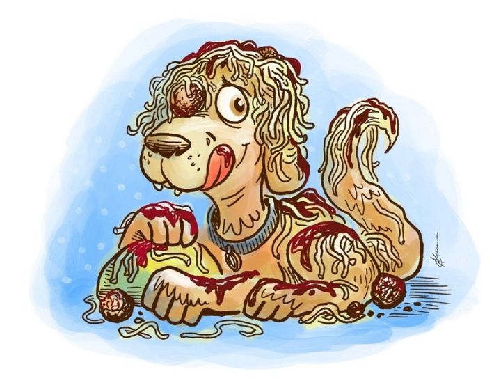 Messy Dog