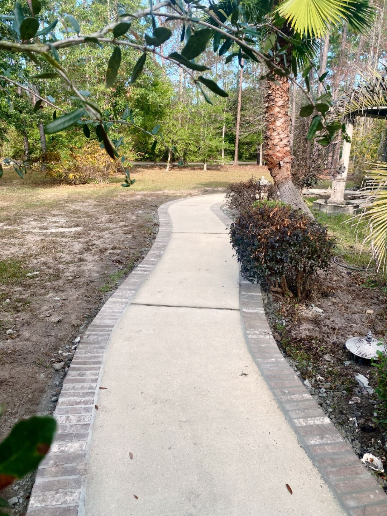 A concrete walking path with a brick border winds through a sunlit yard with trees and bushes.