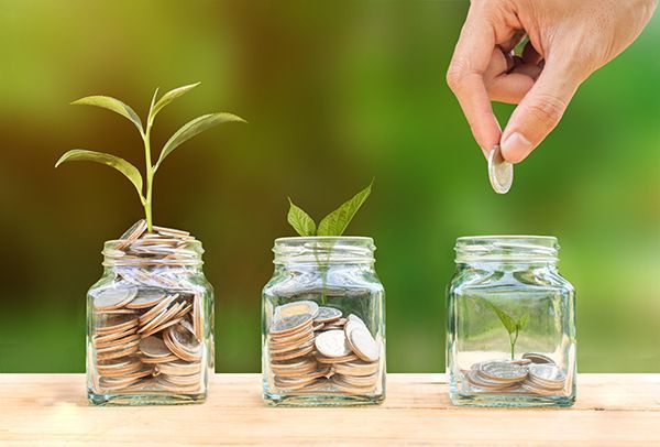 A person is putting a coin into a jar with a plant growing out of it.
