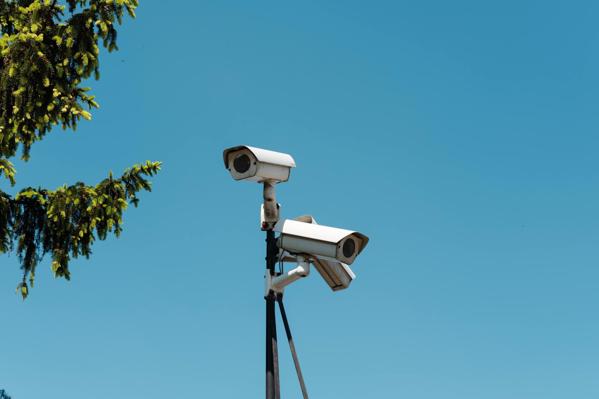 servicios de seguridad para local comercial servicios de seguridad para local comercial
