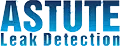 Astute Leak Detection Logo