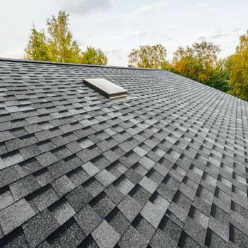 Gray shingled roof with a skylight, viewed from a low angle with trees in the background