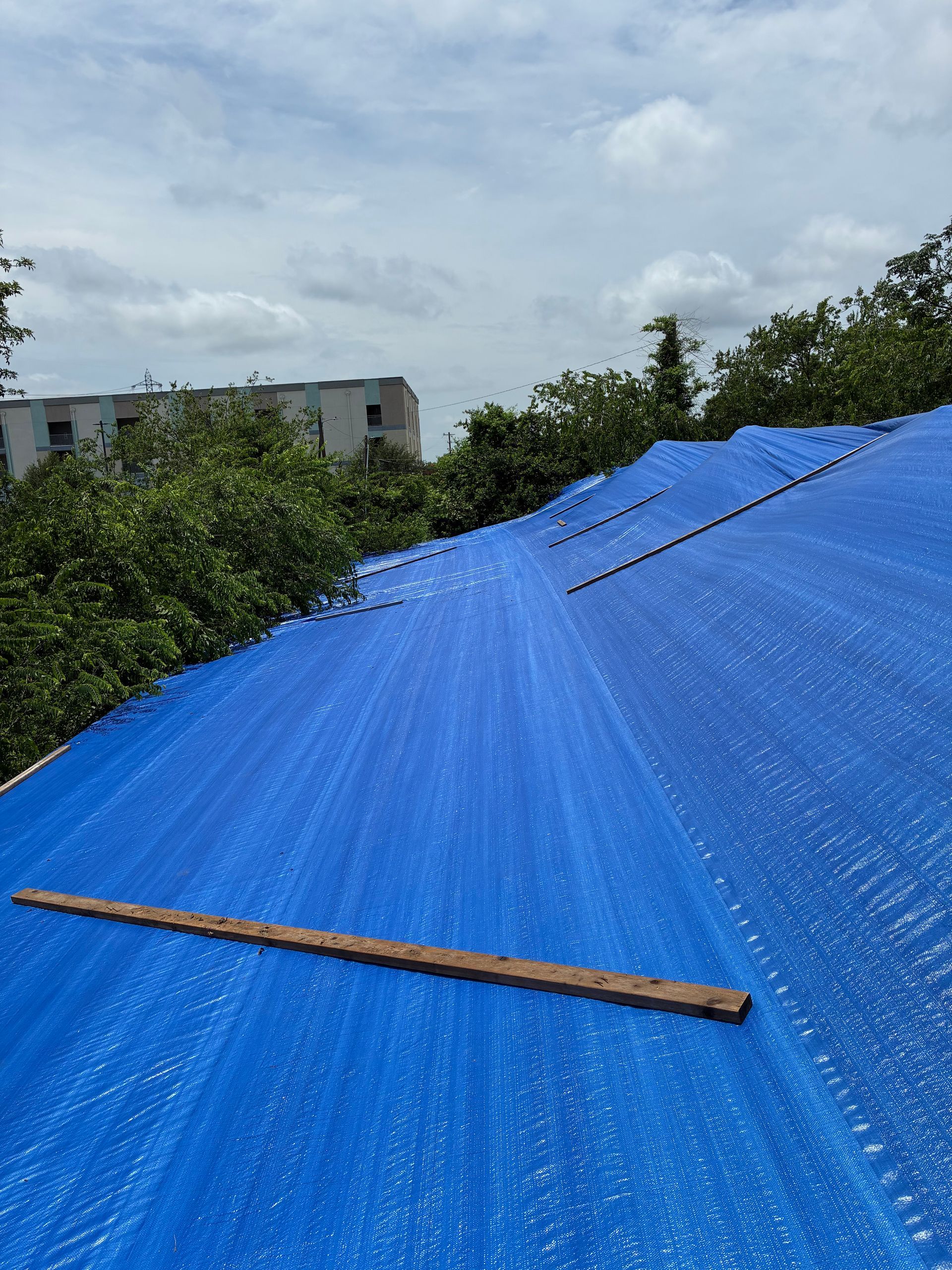 Blue corrugated metal roof with a wooden plank, seen from above beside trees and buildings under cloudy sky