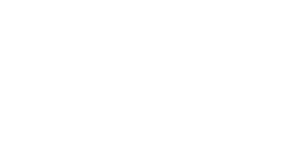 Blank white rectangle on a white background with thin black border at the bottom and right edge