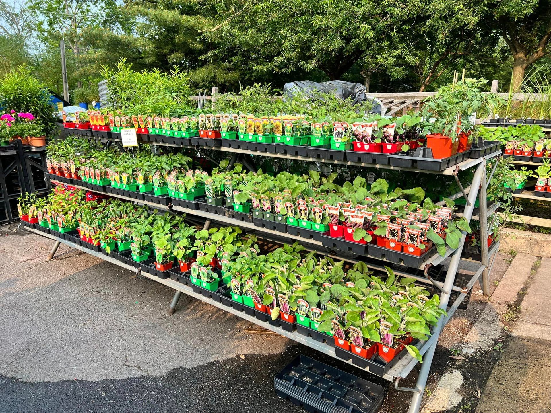 Garden Center East Norriton, PA Photo Gallery