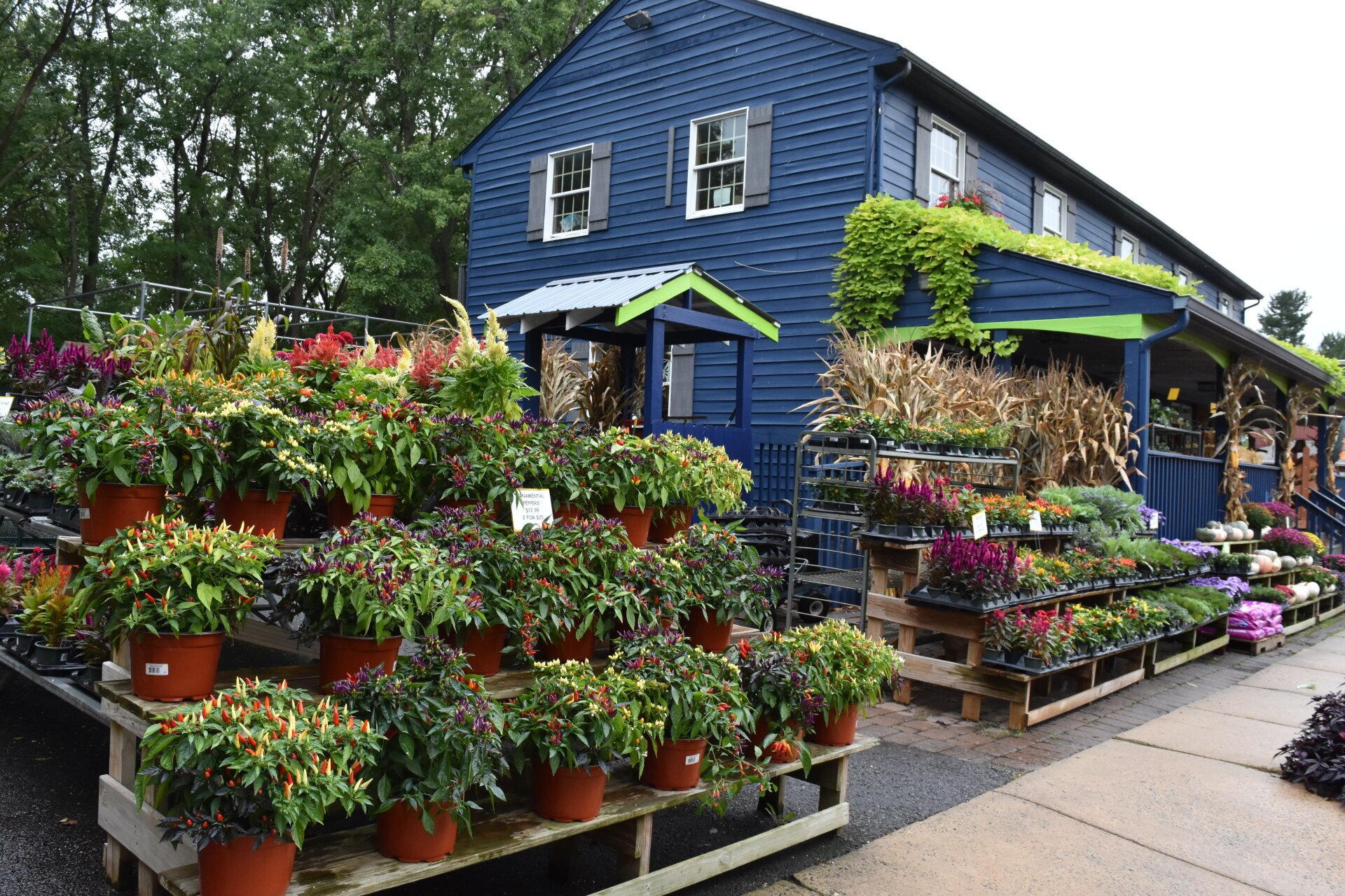Garden Center, Gift Shop East Norriton, PA