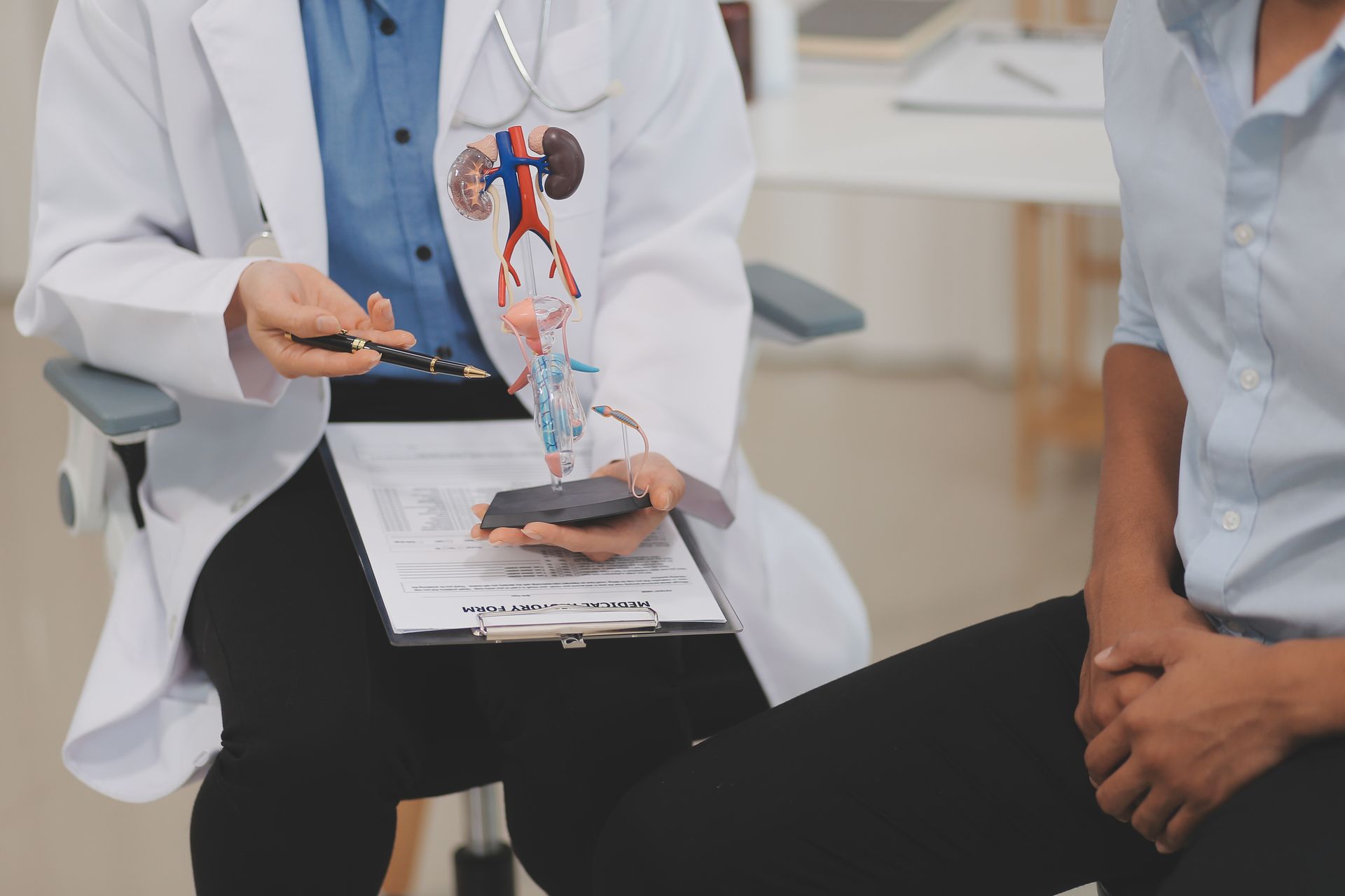 Doctor showing kidney model to patient with clipboard and pen.