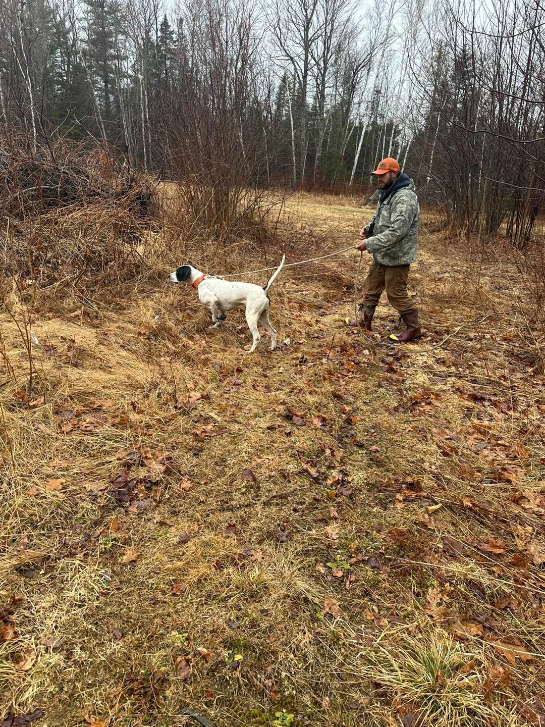 A man is walking a dog in a field.