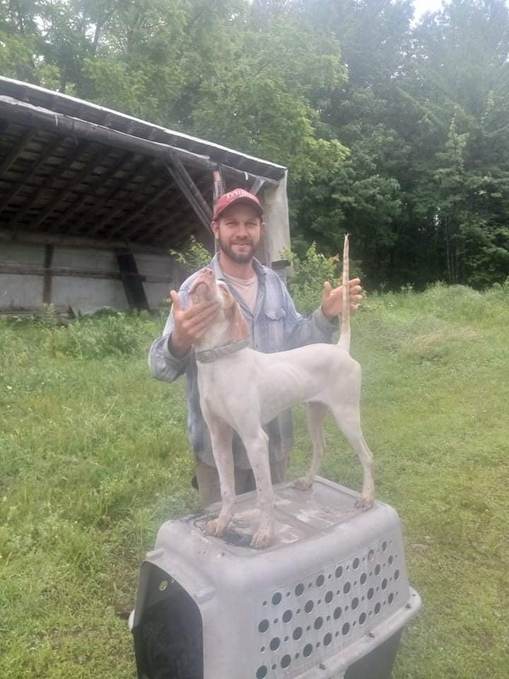 A man is holding a white dog on top of a plastic crate.