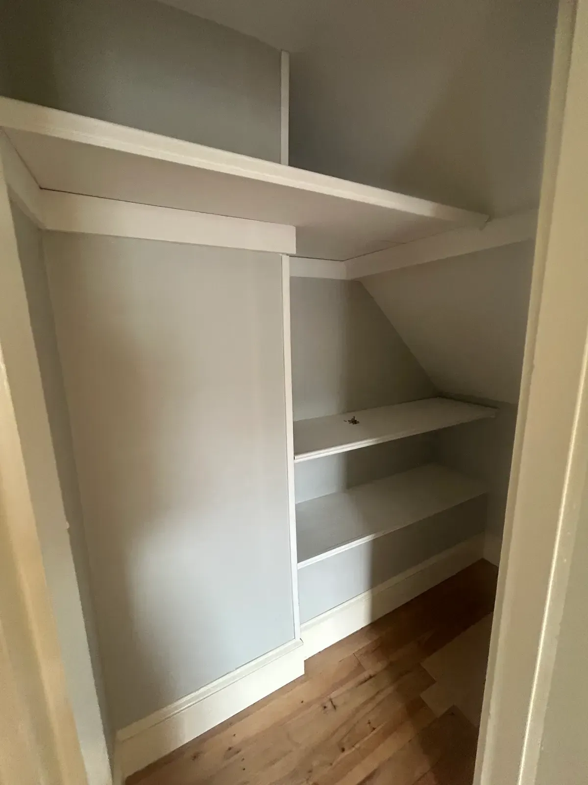 Empty white closet with built-in shelves and hanging space over hardwood floor