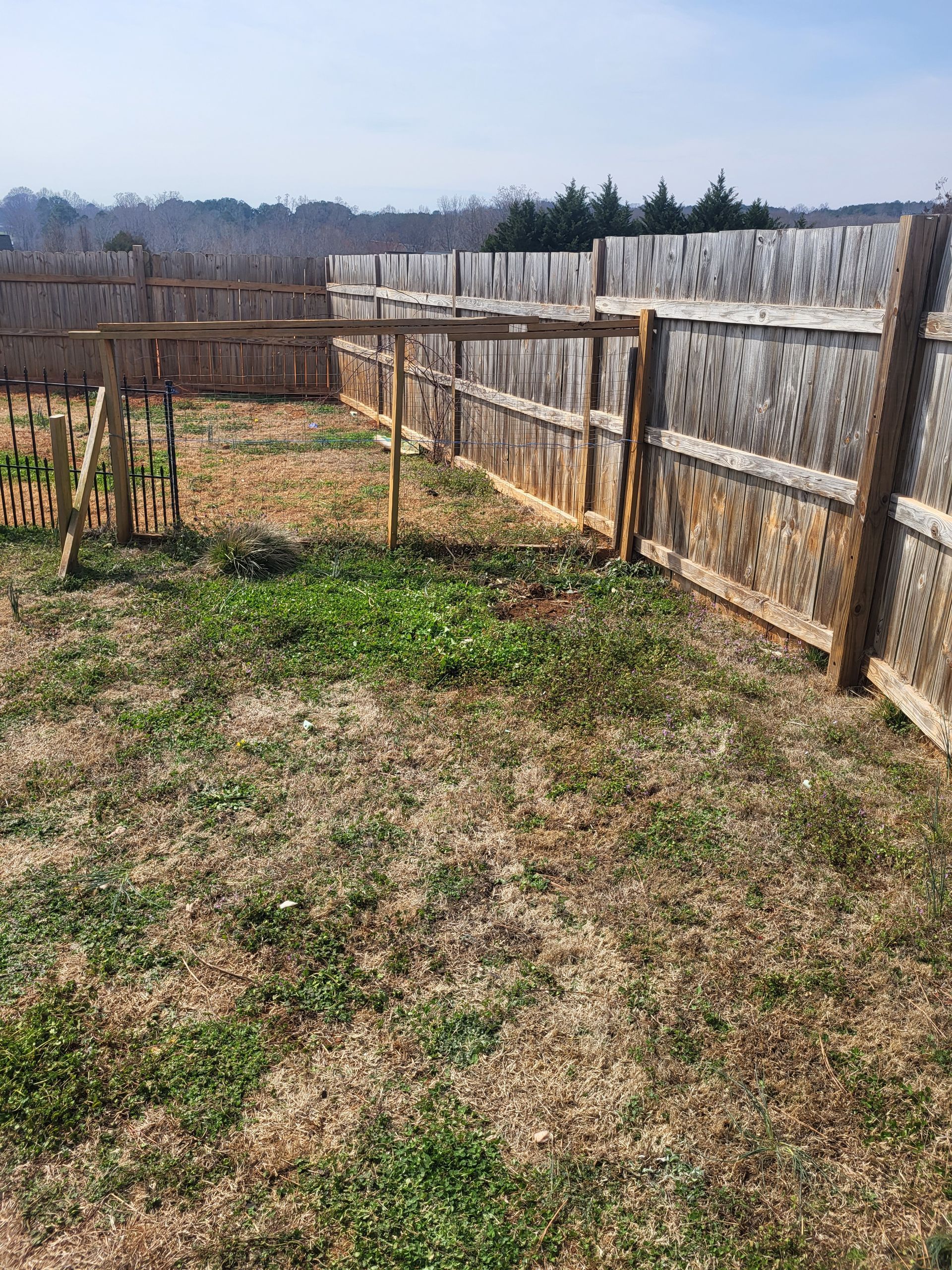 A fenced backyard with dry grass, a small wooden table, and bare trees in the distance.