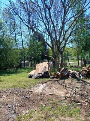 Sunny backyard with a leafless tree, woodpile, and patchy grass near a dirt path