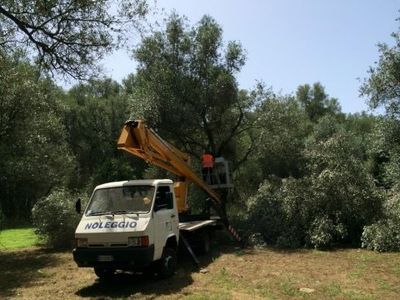Agricoltura