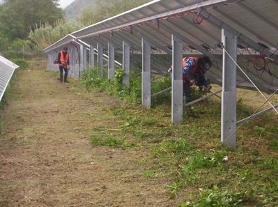 Manutenzione verde