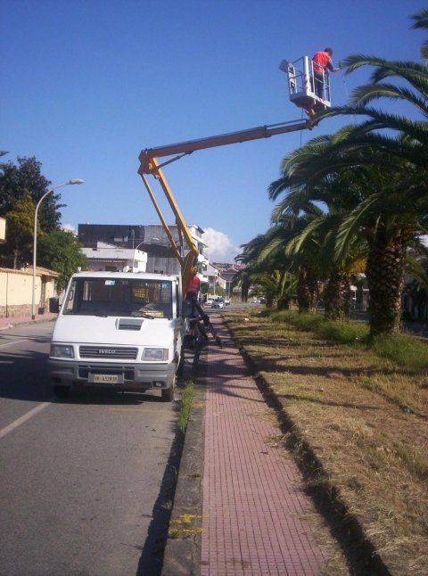 Agricoltura