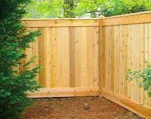 A wooden fence is surrounded by trees in a backyard.