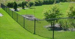 A chain link fence surrounds a lush green yard.