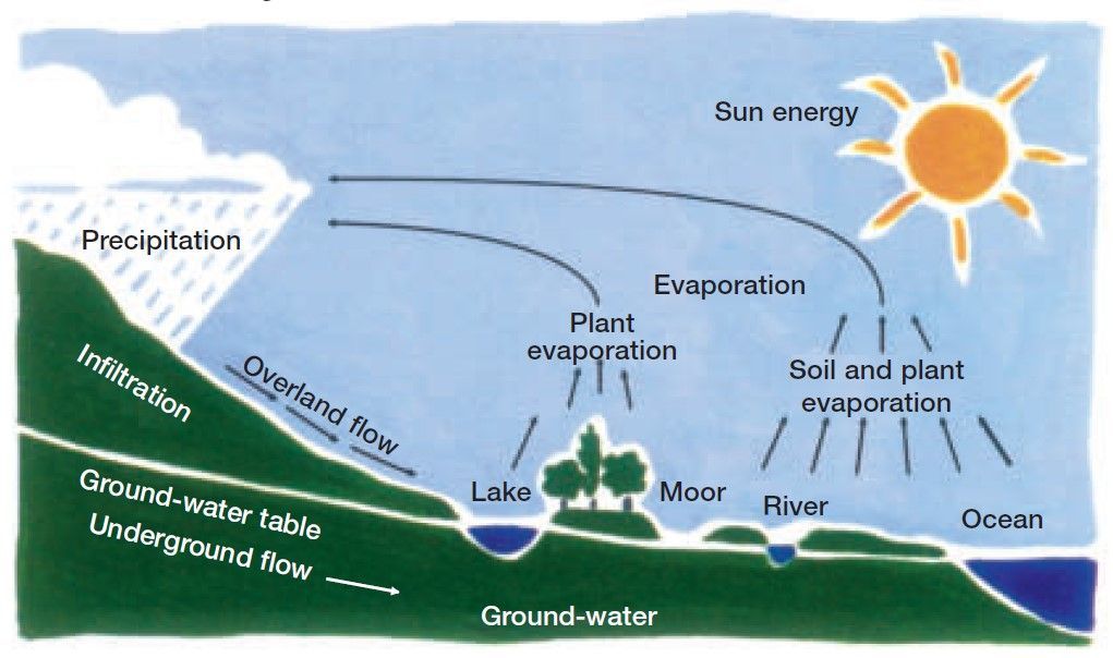 water cycle diagram