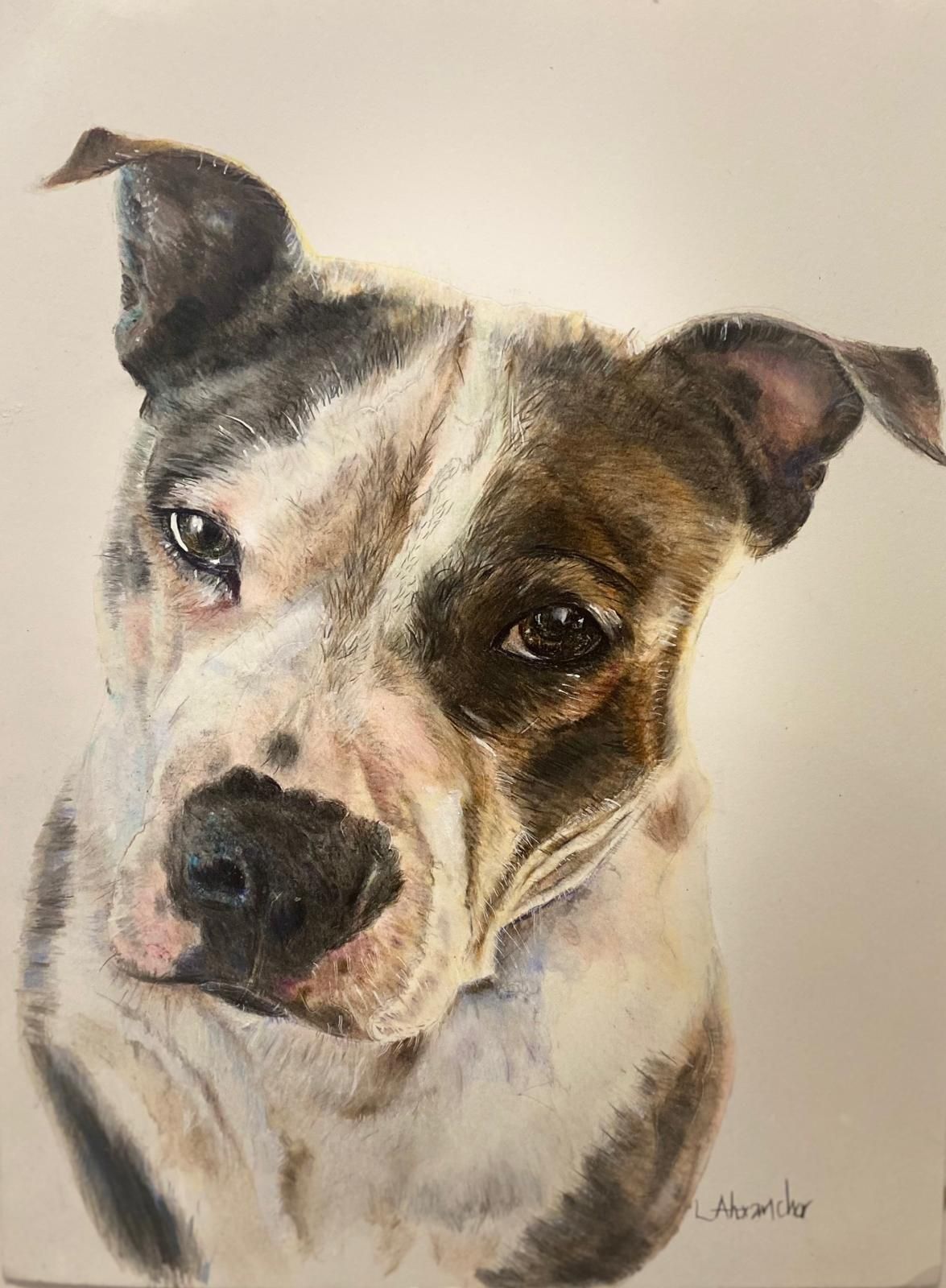Dog portrait, head tilted, brown and white markings, soft-eyed gaze.