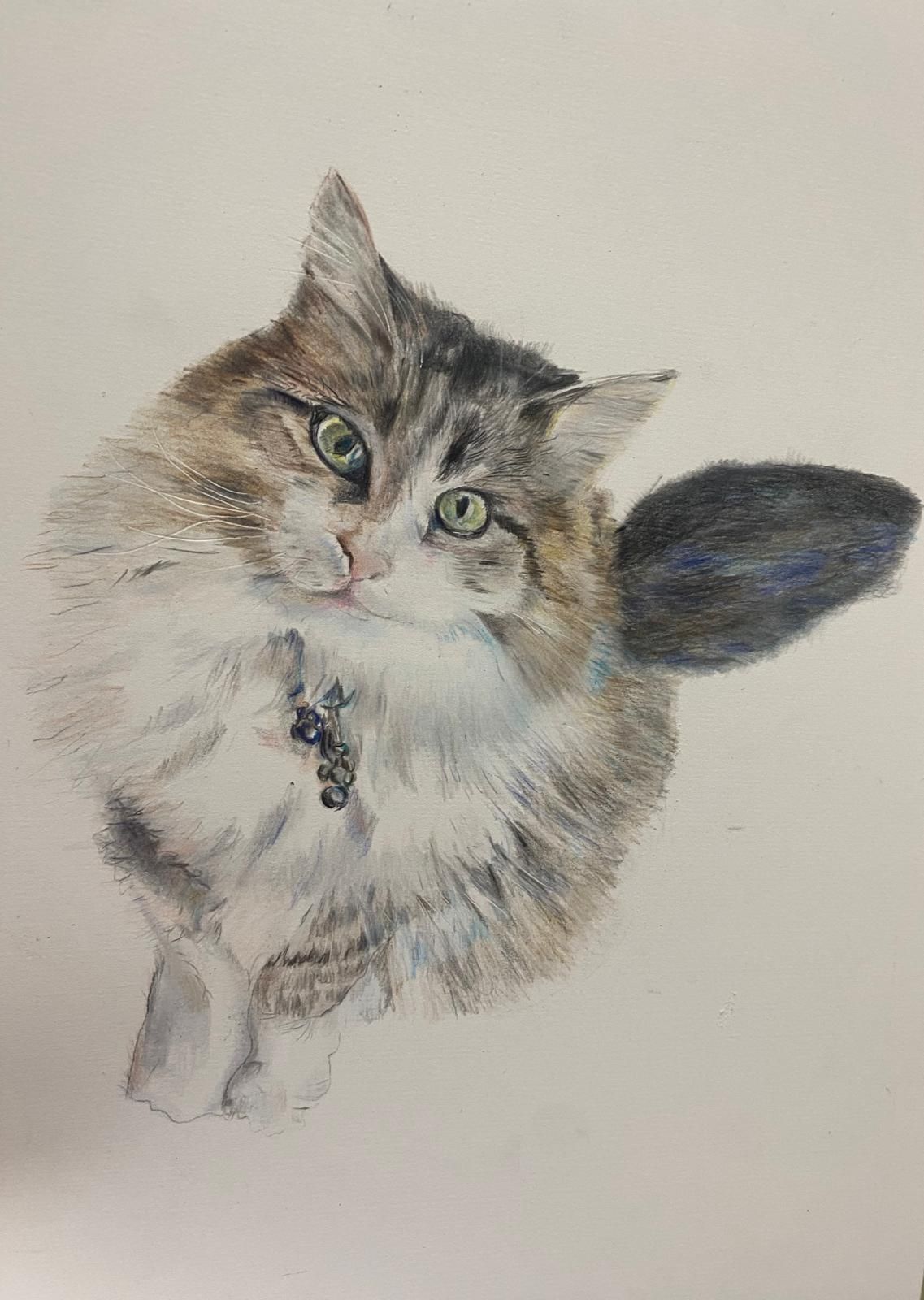 Fluffy tabby cat with green eyes and a small collar, sitting and looking up.