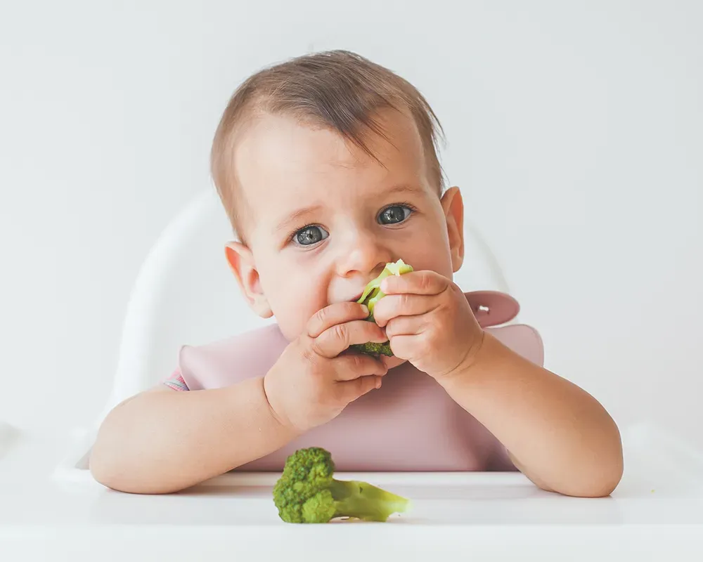Un bebé está comiendo brócoli en una silla alta.