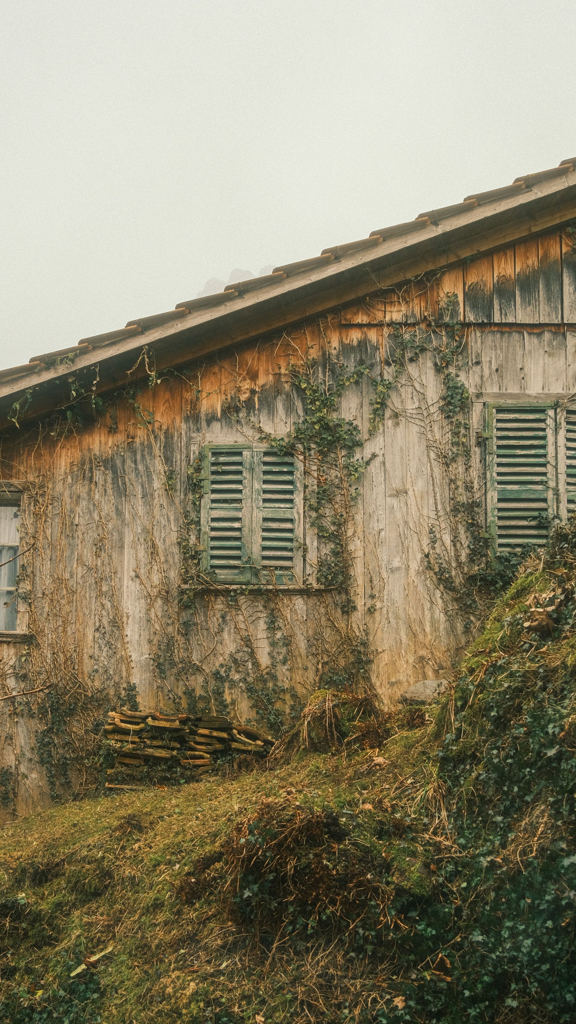 Weathered stucco house wall with green shutters and a slanted roof, covered in ivy and moss.