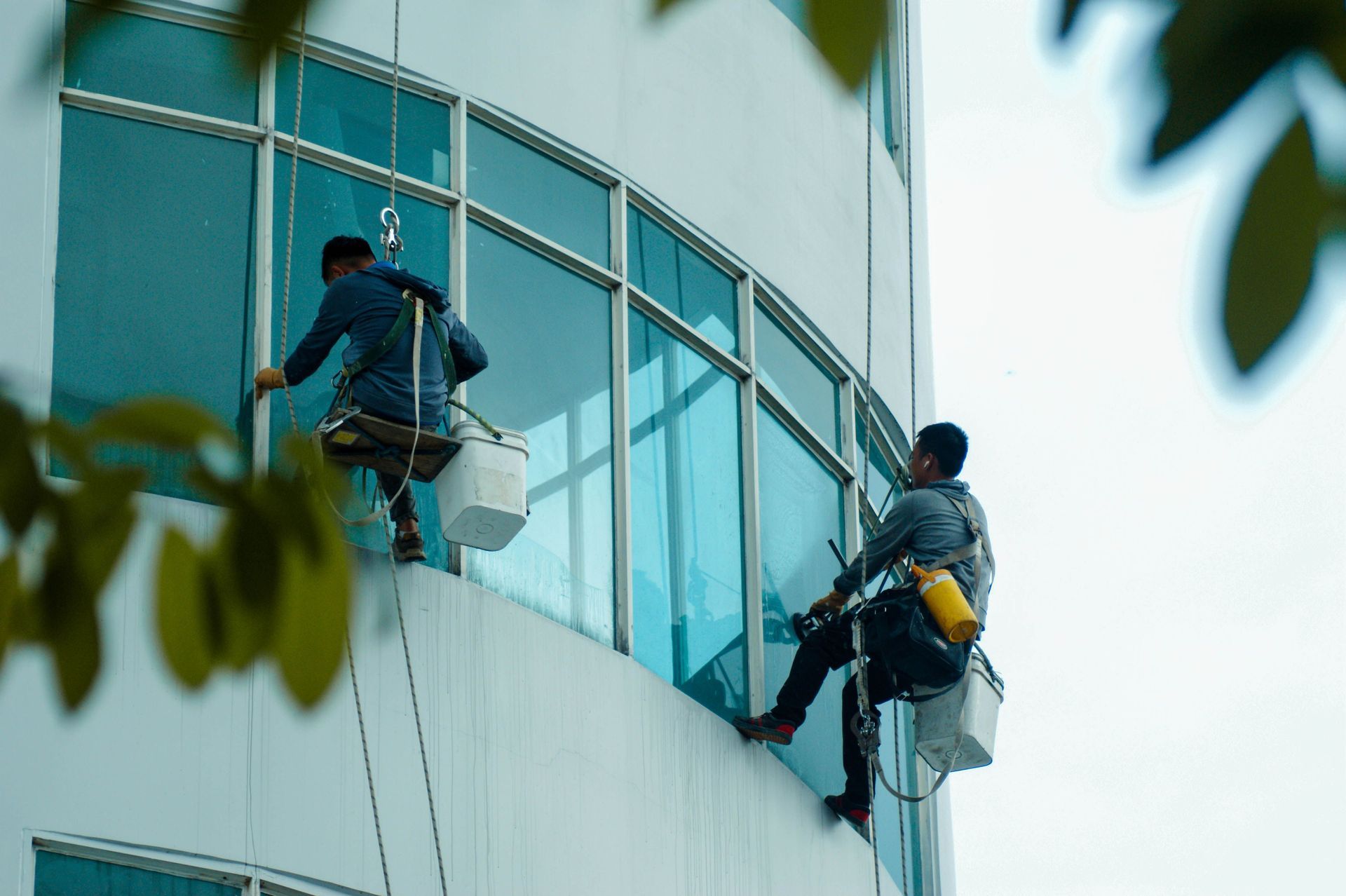 Two window washers on ropes cleaning a curved glass building exterior