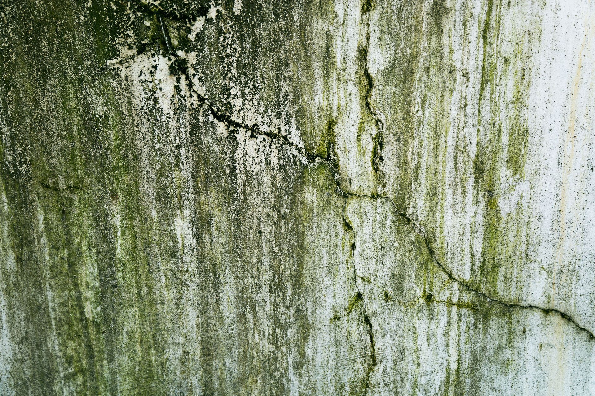 Moss-covered, weather-stained concrete wall with green and white streaks and cracks