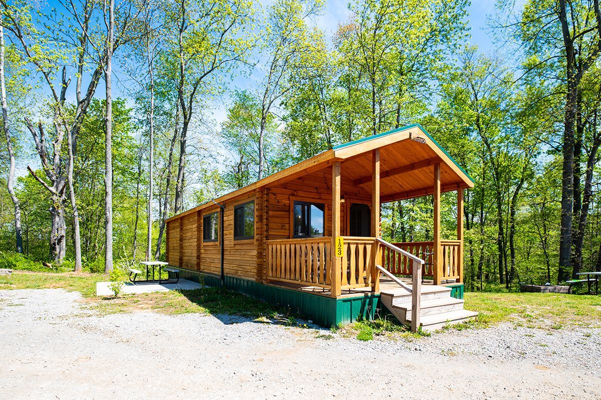 a small log cabin with a porch in the middle of a forest .