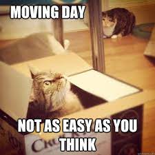 Cat In A Box — Noblesville, IN — AC Trash Hauling & More