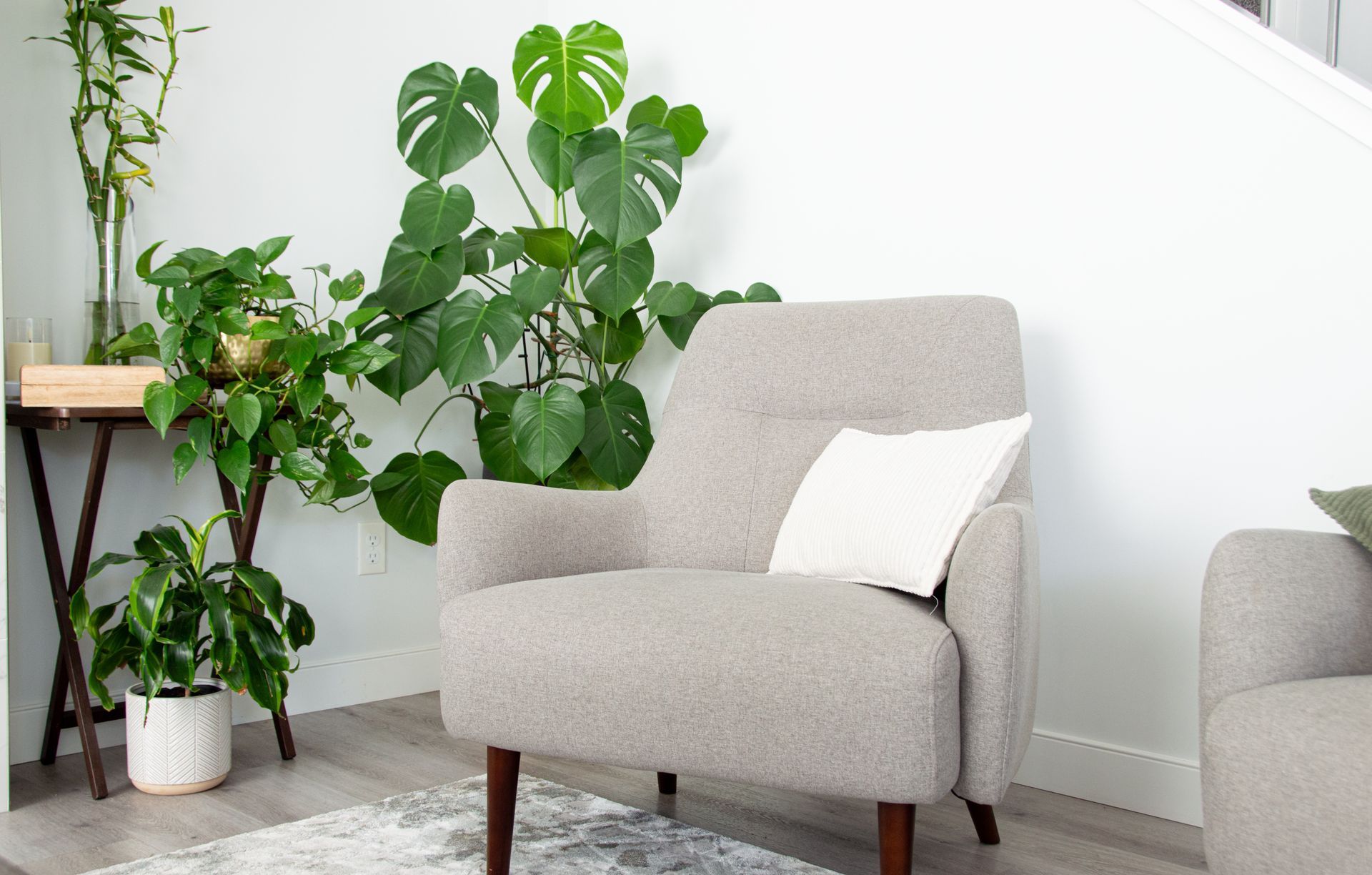 Bright living room corner with a beige armchair, indoor plants, and a small wooden side table by the window.