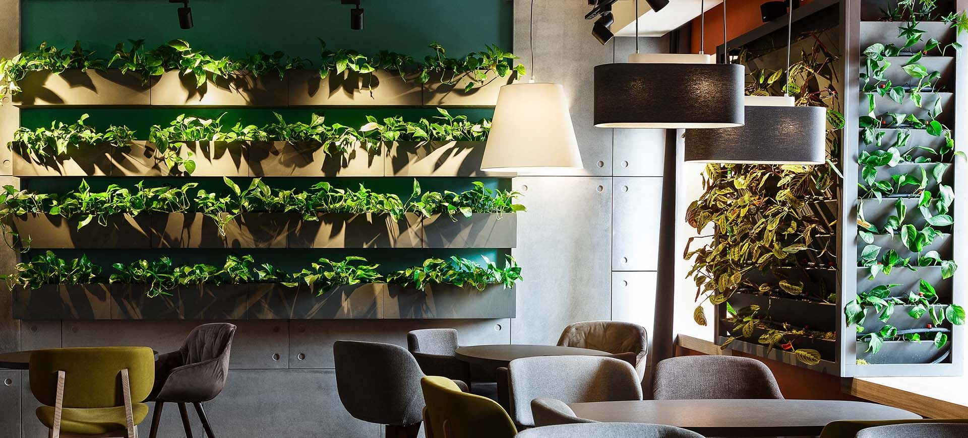Modern café interior with vertical green plant walls and hanging lights. Modern café interior with vertical green plant walls and hanging lights.
