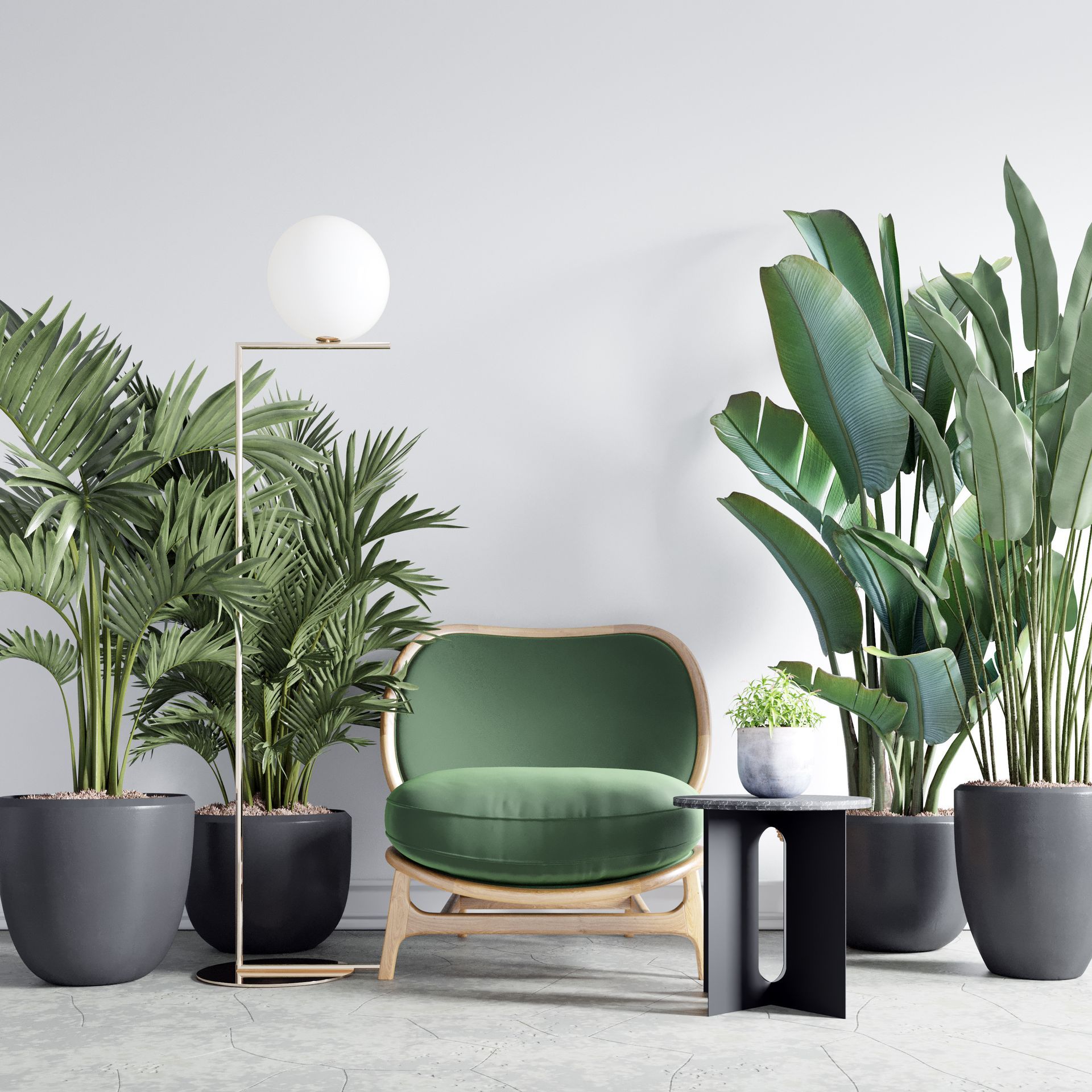 Interior plant installation in an Oak Brook, IL office lobby with tropical potted Interior plant installation in an Oak Brook, IL office lobby with tropical potted