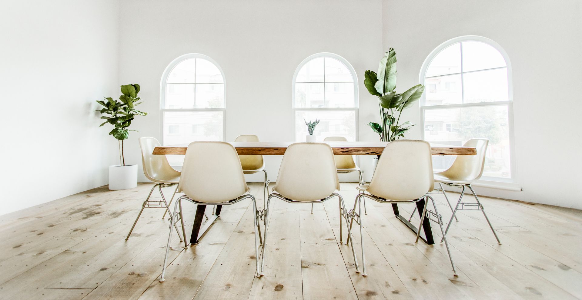 Indoor plants in a bright Chicago office meeting room with arched windows and a wood table