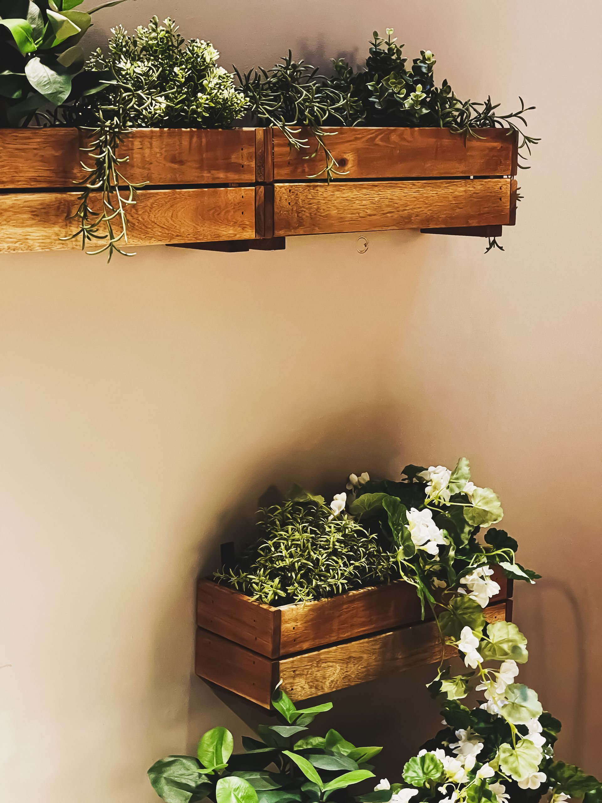 Decorative green house plants.