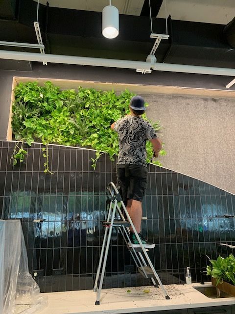 Worker Maintaining Vertical Garden.