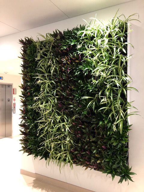 A lush indoor vertical garden. 