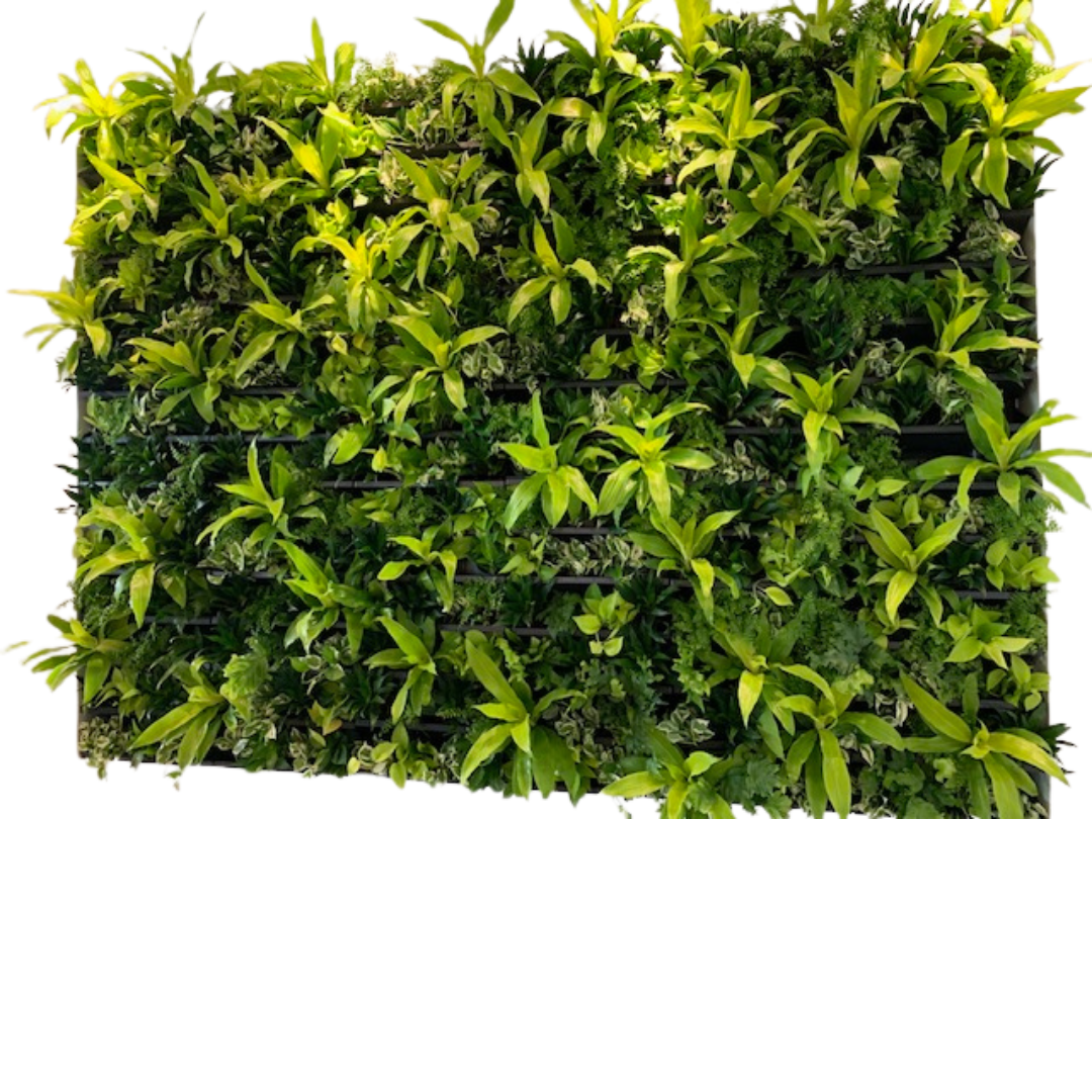 Lush Green Vertical Plant Wall.