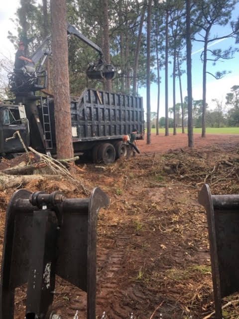 Emergency Tree Removal Service Canton