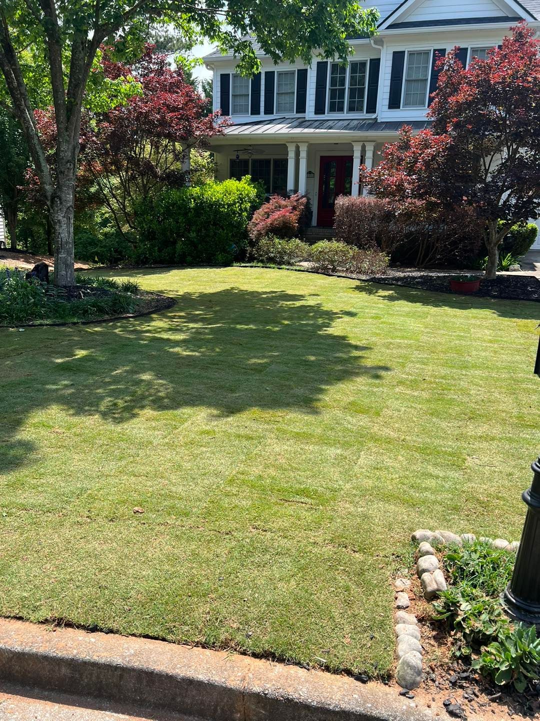 Landscape Design and Sod Installation Canton
