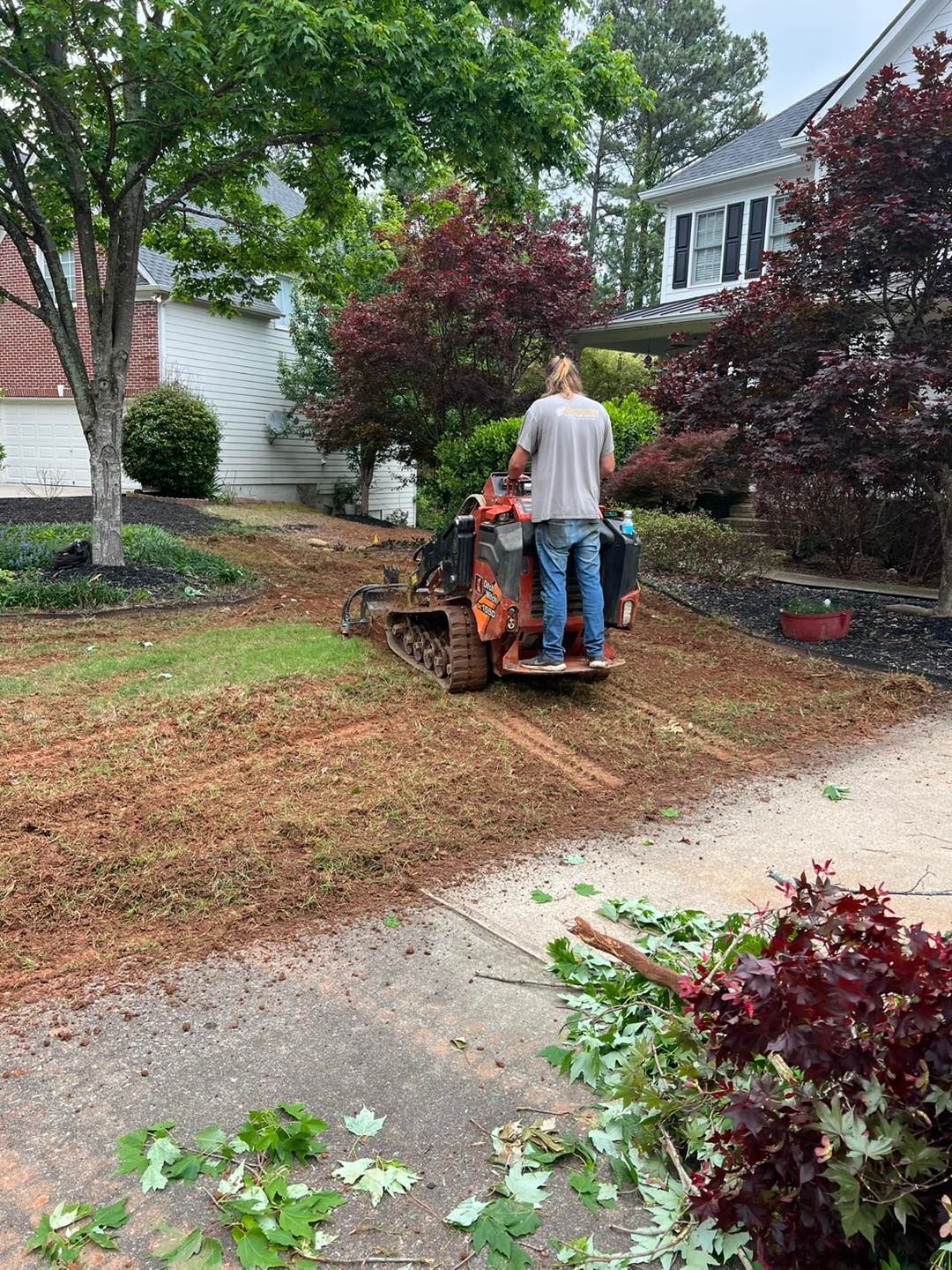 Landscape Design and Sod Installation Canton