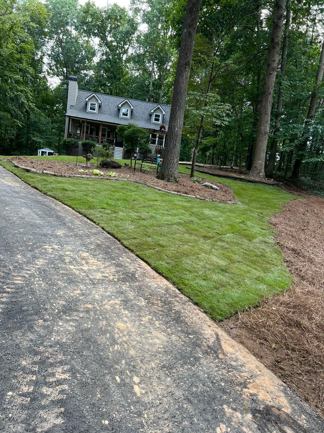 Tree Service and Landscaping Canton GA