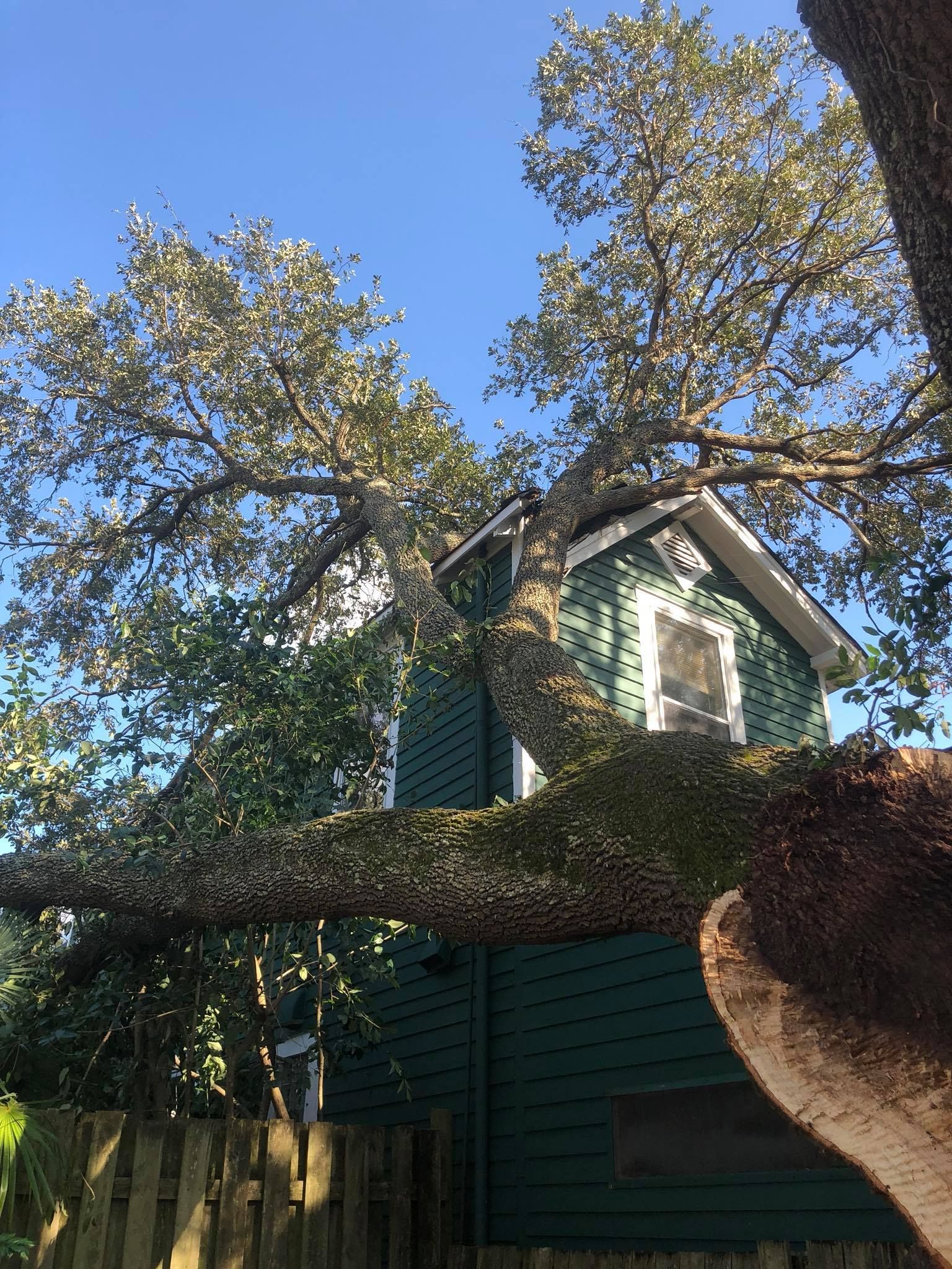 Emergency Tree Removal Service Canton