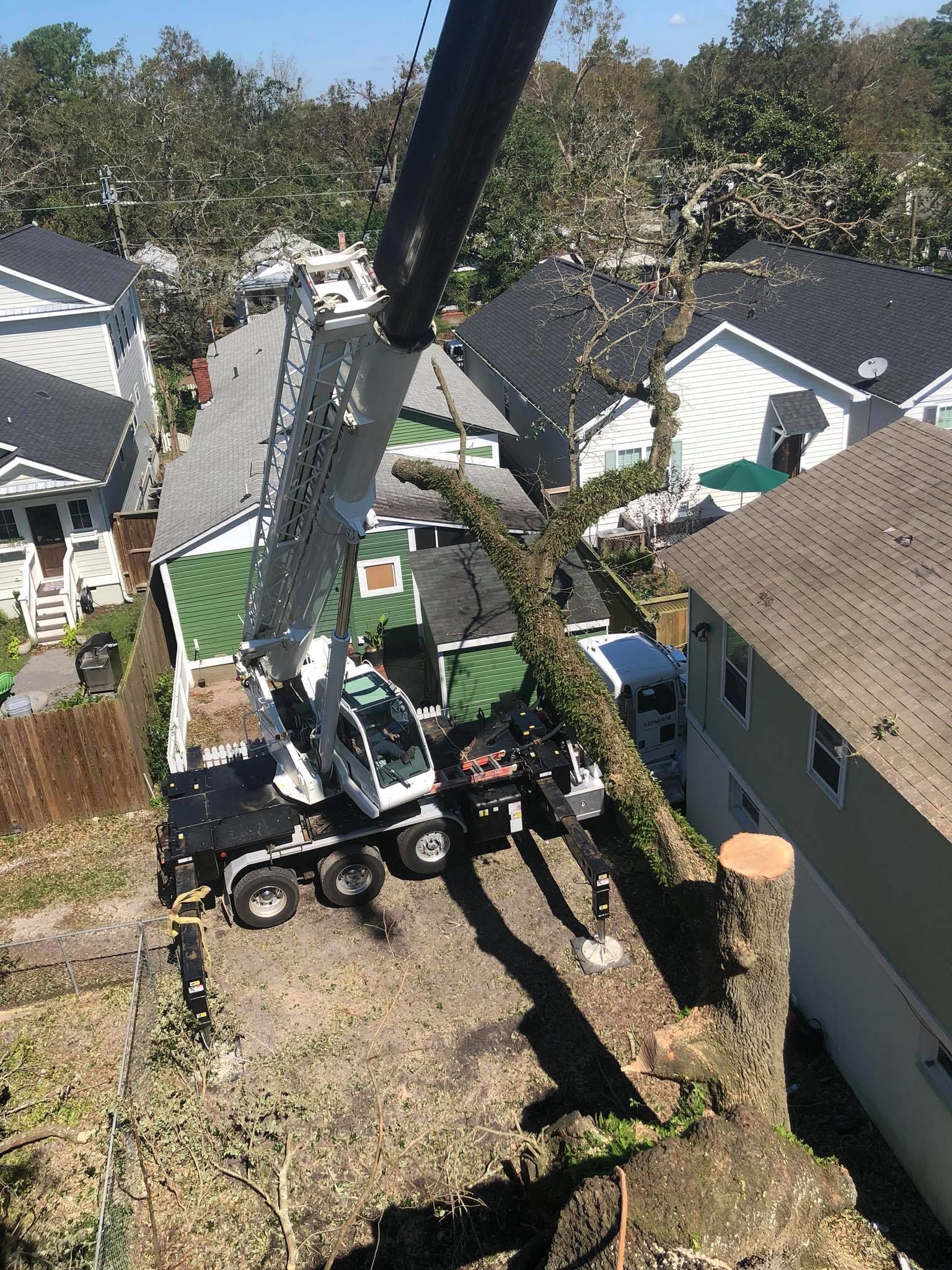 Emergency Tree Removal Service Canton